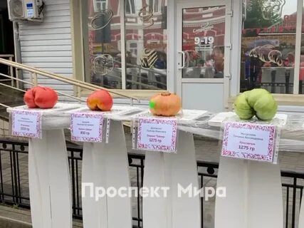 Минусинский помидор 2023
