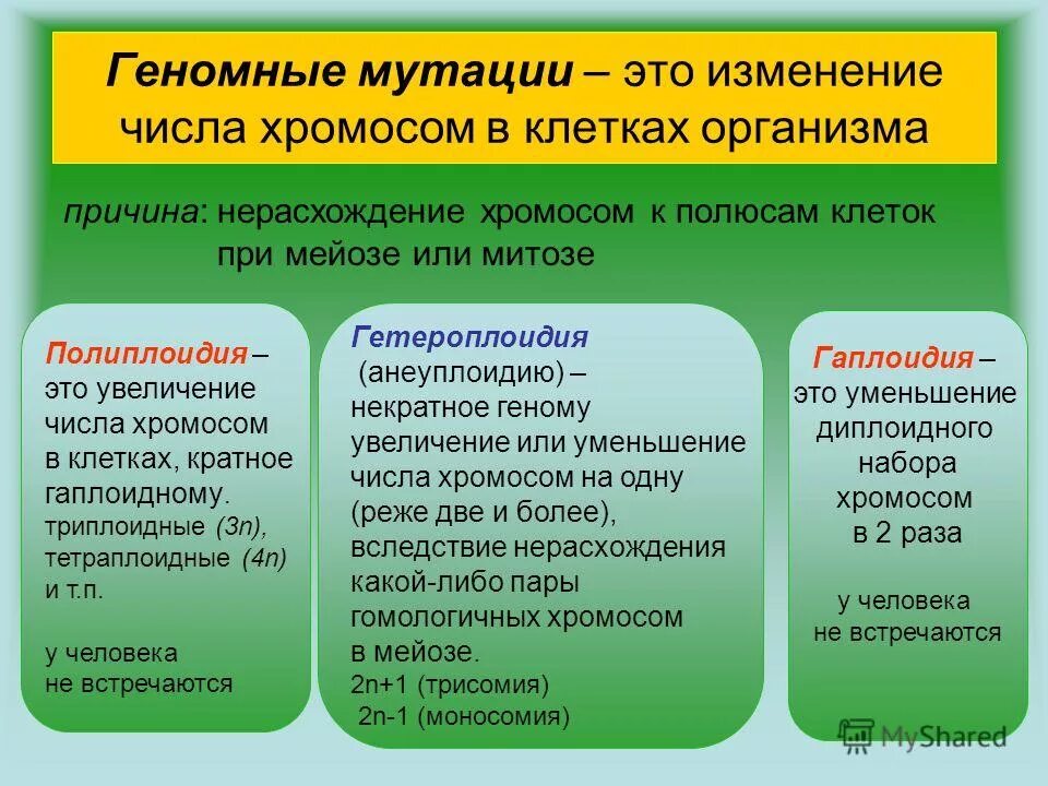 Мутации приводящие к изменению числа. Геномные мутации. геномные мутации это в биологии. хромосомные мутации это изменение числа хромосом. виды геномных мутаций.