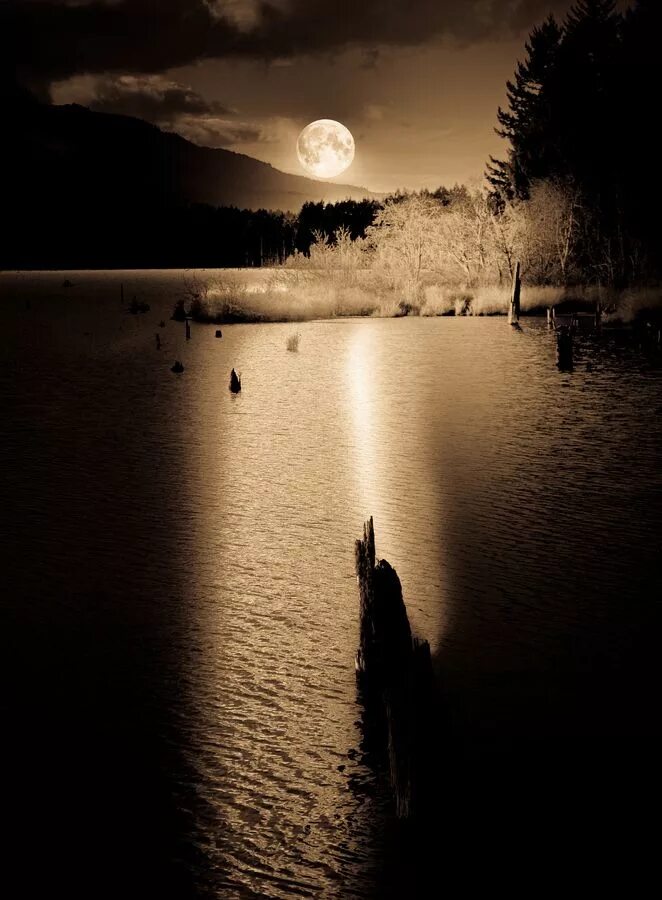 Почему ночью тишину. Ночь и тишина. Ночная тишина. Ночь Луна тишина. Ночь тишина природа.