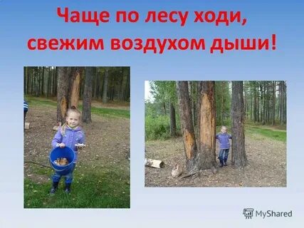 Не ходи по лесу один