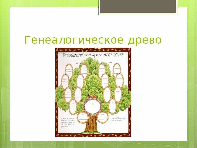 Презентация древо семьи 2 класс. Генеалогическое Древо семьи 3 класс кубановедение. Древо семьи 2 класс окружающий мир. Проект по окружающему миру 2 класс генеалогическое Древо семьи. Генеалогическое дерево рисунок.