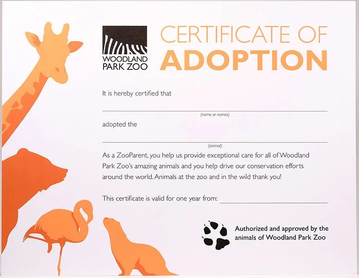 Adoption Certificate. Adoption Certificate of animal. Adoption Certificate тигр. Продукция Zoo son. Adoption перевод