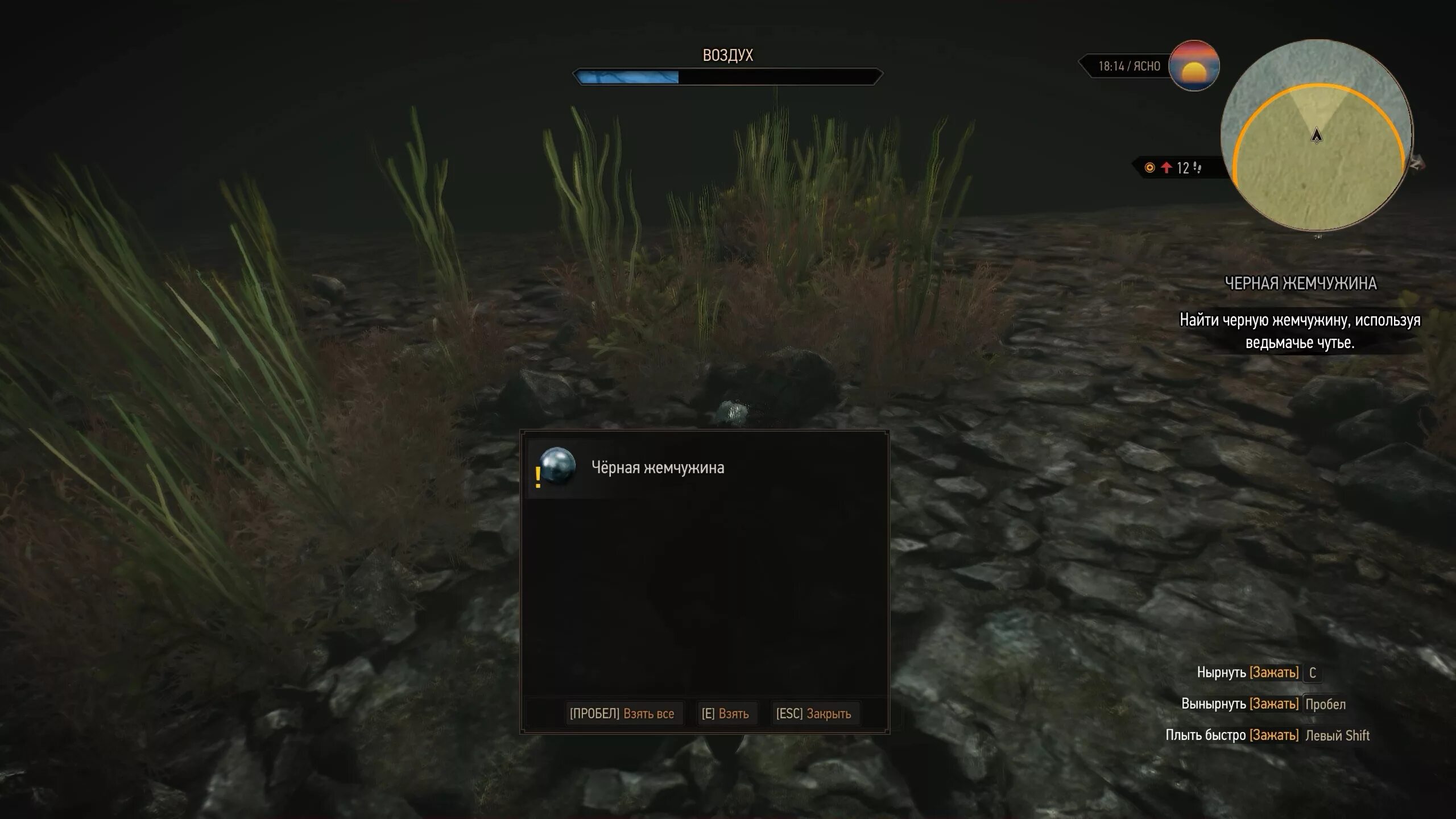 золотой осетр ведьмак 3. квест чёрная жемчужина в ведьмак 3. ведьмак 3 квест черная жемчужина где найти мидаса. ведьмак жемчужина. чёрная жемчужина ведьмак 3 прохождение.