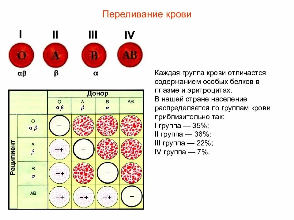 Донор 4 положительная. Разница групп крови. Схема переливания групп крови. Различие групп крови между собой. Переливание крови по группам и резусам схема.