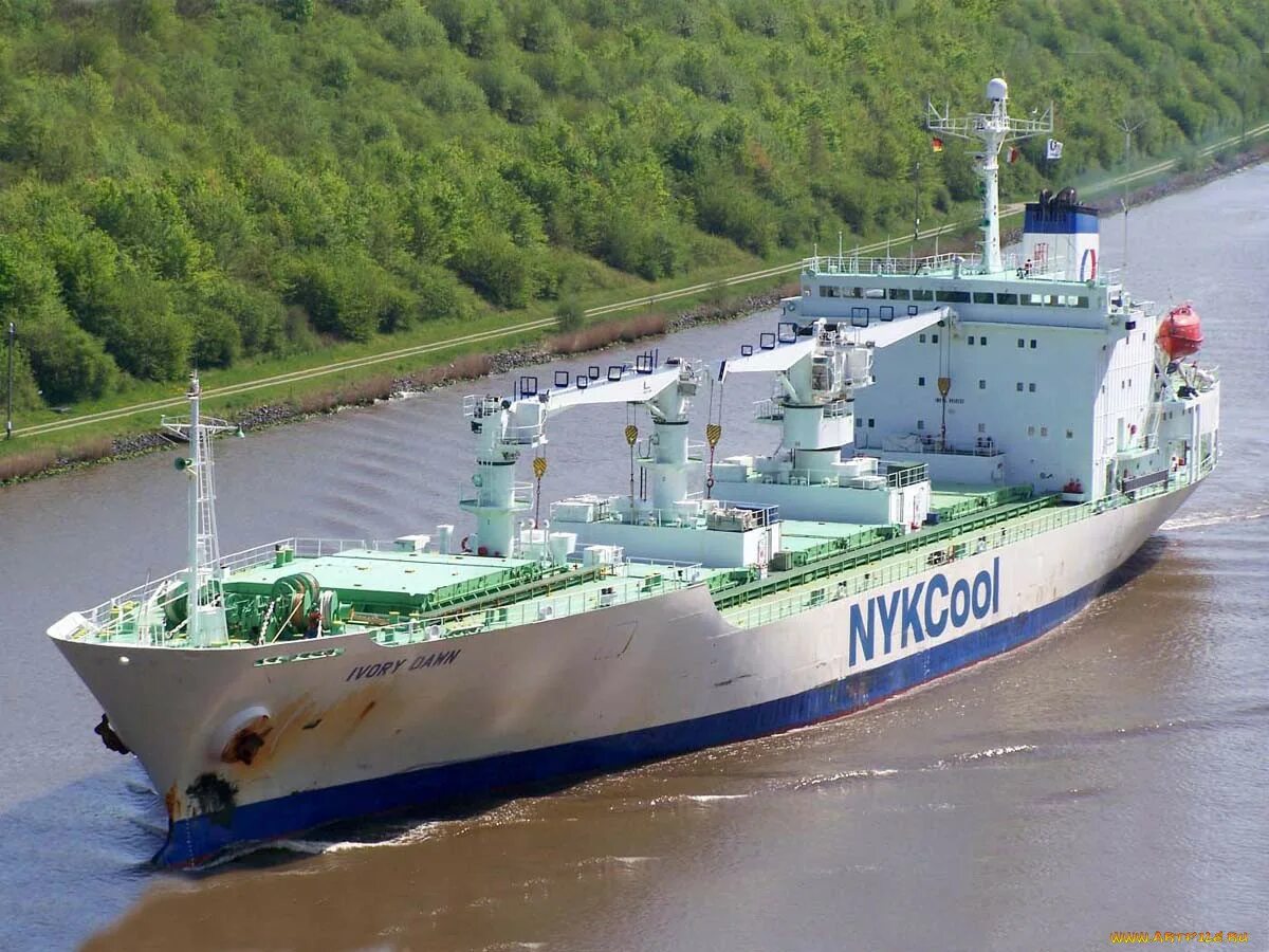 Baltic pearl vessel. Теплоход балтик перл. Вино луна. Балтик перл. Судно меркурий имо 8216916.