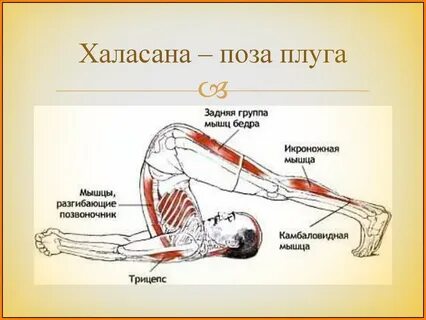 Польза плуга