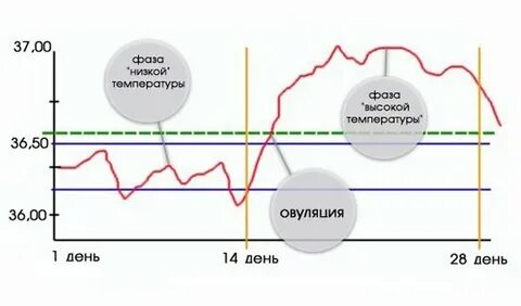 Температура от переживаний