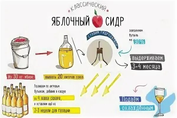 Как сделать сидр дома. Как сделать сидр дома