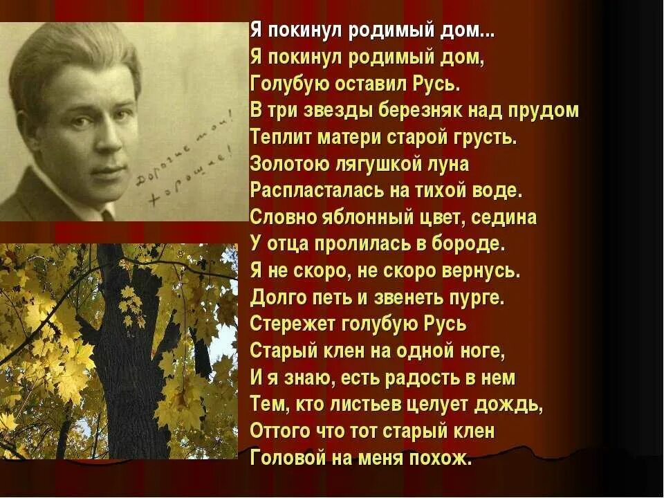 Есенин я покинул родимый дом стих. Стихотворение Есенина я покинул родимый дом. Стихотворение Есенина я покинул родимый дом текст.