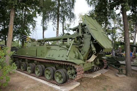 2с4 тюльпан