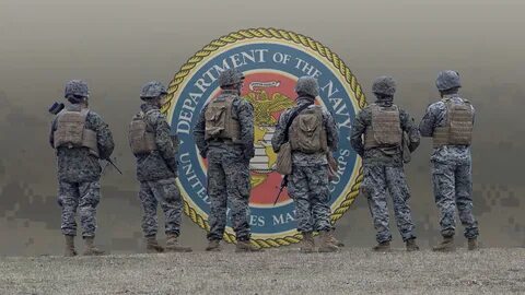 Юнита сша