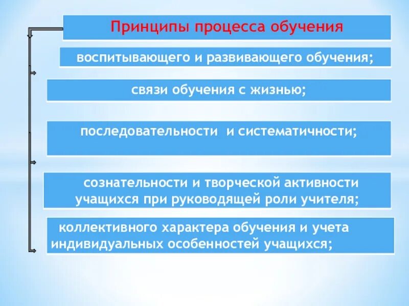 Воспитывающий характер обучения. Принципы процесса обучения. Принцип развивающего и воспитывающего характера обучения. Принцип воспитывающего обучения правила реализации. Принцип коллективного характера обучения.