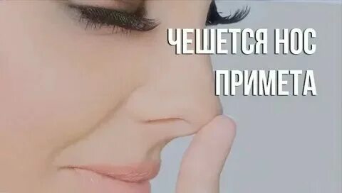 К чему чешется нос. Зачесался нос примета. Зачесался нос примета. Что значит если чешется нос. К чему чешется нос.