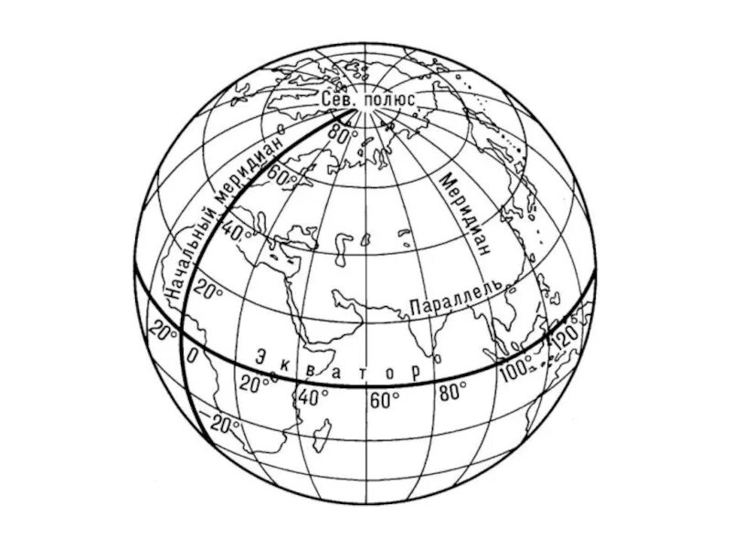 Svg координаты