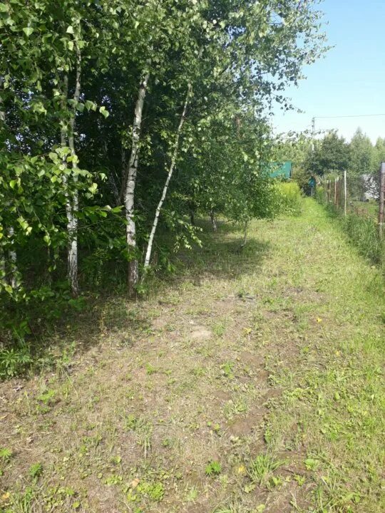 Участки снт огонек. Снт огонек фото участка. Снт зеленый уголок ташевка. Московская область. Участки снт огонек.