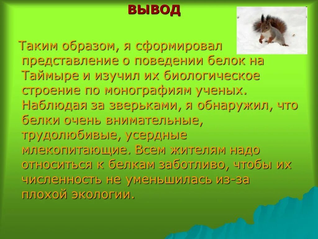 Сообщение про белки. Рассказ про белку. Белка описание для детей. Описание белки. Белка описание кратко.