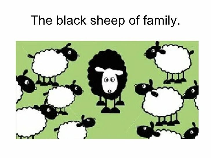 Портит стадо. Black Sheep of the Family идиома. Black Sheep идиома. Овечки черным цветом. Black Sheep Black Sheep 1975.