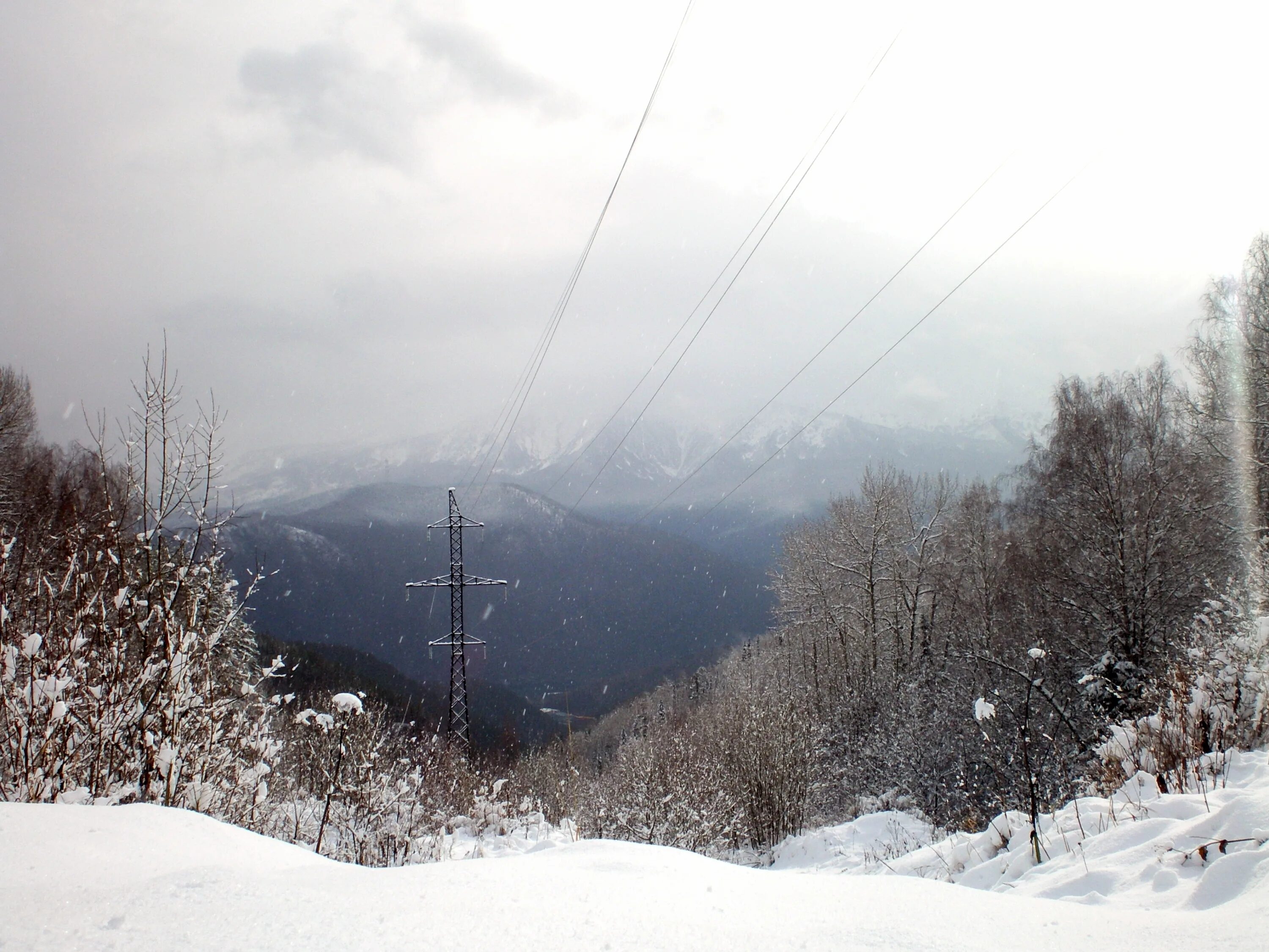 Черёмуховый лог горнолыжный комплекс. Черемушки саяно шушенская гэс. Горнолыжка в черемушках хакасия. Черемуховый лог в черемушках хакасия. Черемуховый лог.