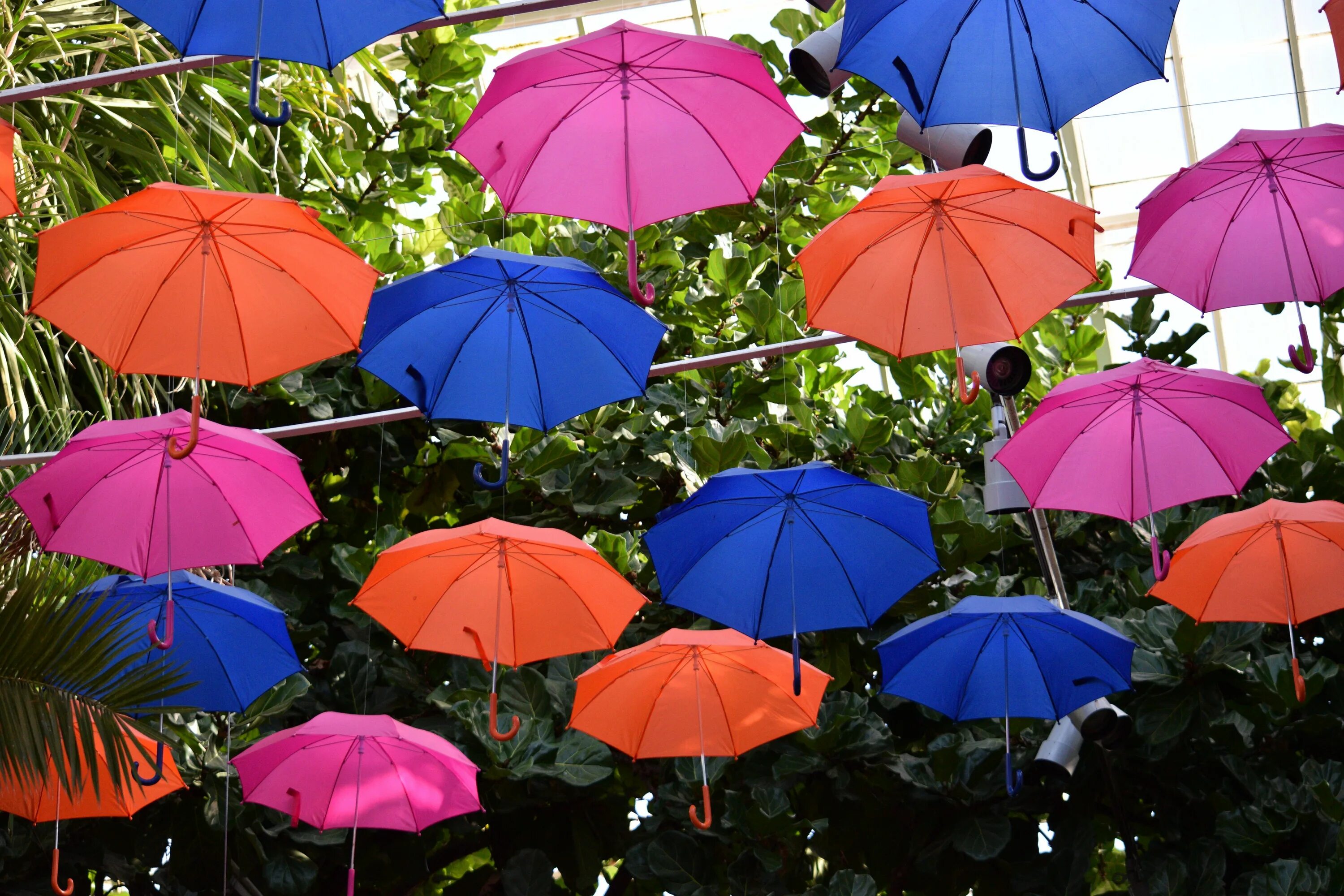 Роль зонтика. Разноцветные зонтики. Разноцветный зонт. Красивые зонтики. Зонтики яркие.