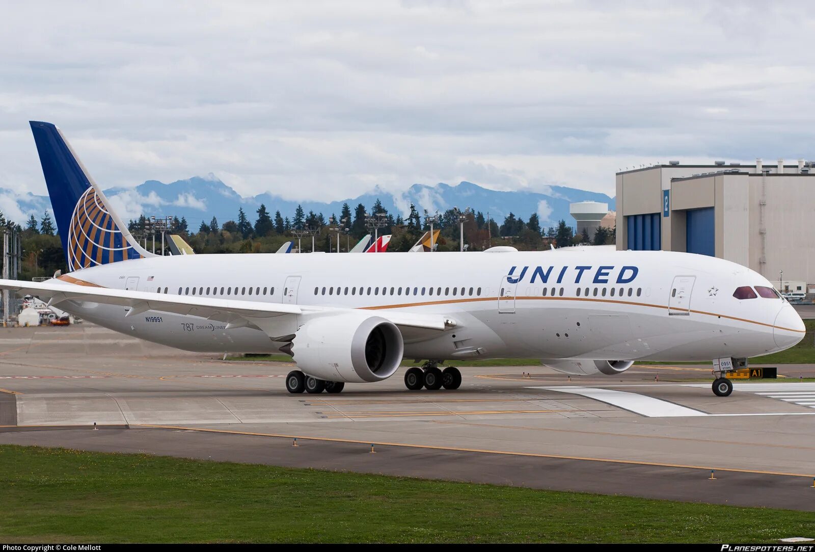 Boeing 787 9 dreamliner. Боинг 787-9. Боинг 787-9 Дримлайнер. United Airlines :Boeing 787-800. United Airlines 787-9.