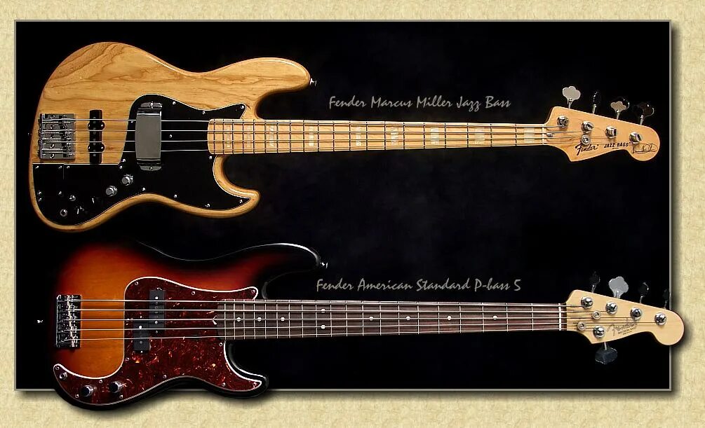 Чем отличается гитара от бас гитары. Fender precision vs jazz bass. бас jazz precision. fender jazz bass precision. jazz bass vs precision bass.