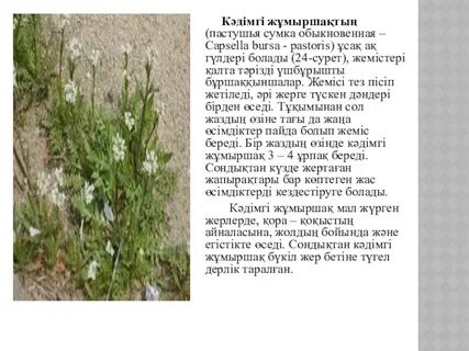 Мультфильм бен тен порно