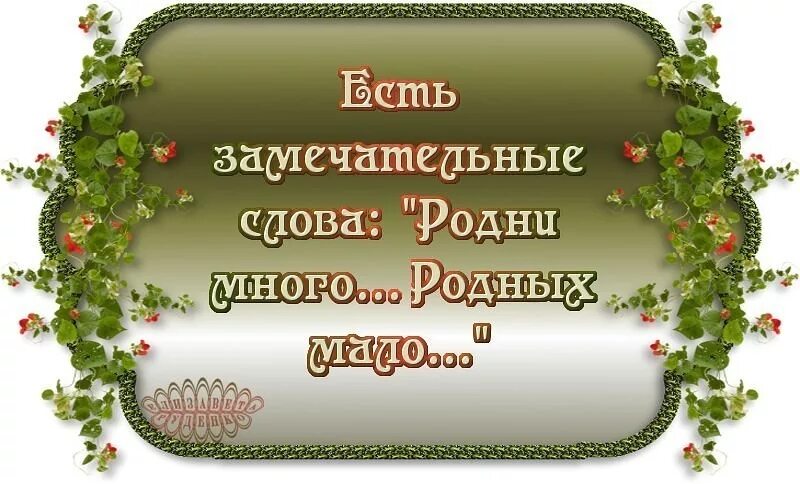 родственников много родных мало. высказывания про родственников. подни много п подных мало. родни много родных мало картинка. высказывания про родню.