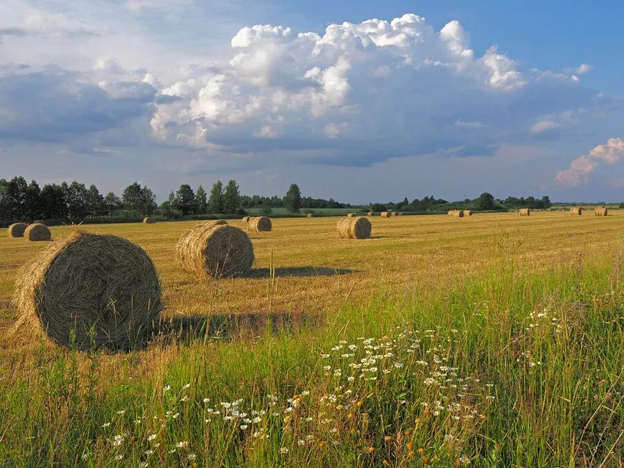 Середина лета песня. Август природа. Лето фото. Конец августа природа. Лето август природа.