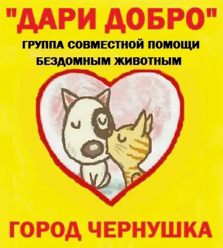 Дари добро помощь бездомным животным г унеча. Дари добро. приют для животных чернушка. приют для животных в чернушке пермский край. приют дари добро для животных москва.