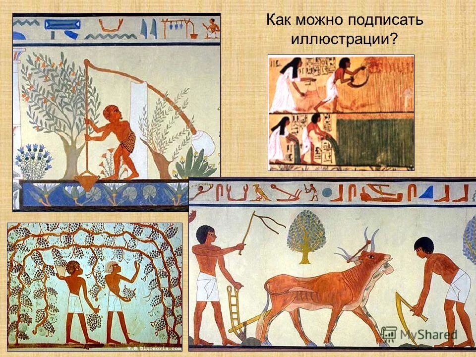 занятия египтян история 5 класс. занятия в древнем египте. занятия древних египтян. главные занятия древних египтян. египет занятия египтян.