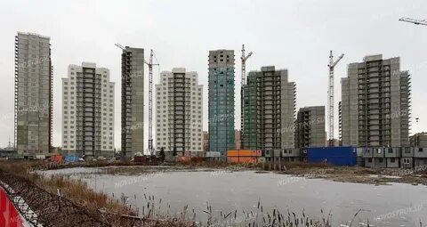 Жк вива