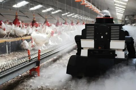 Tosaka chicken farm