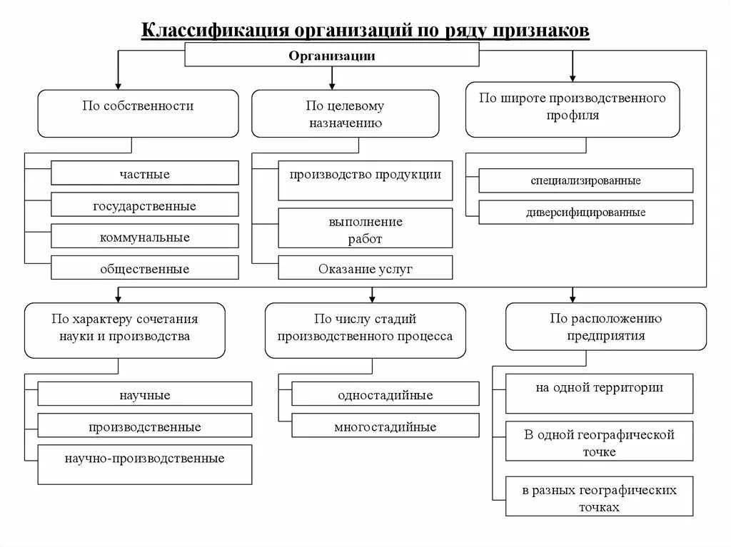 Организация ее виды и формы