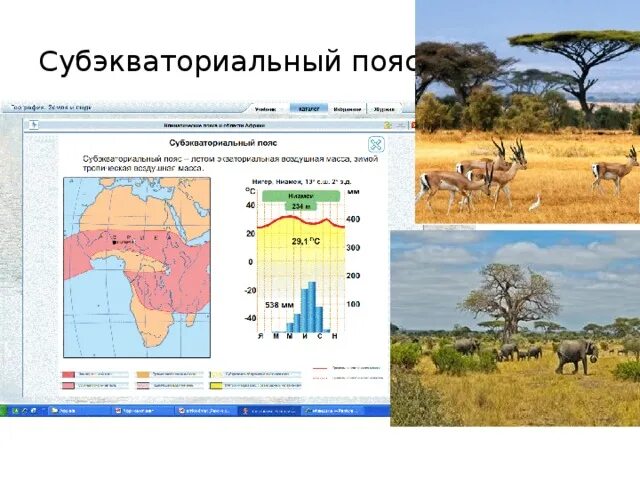 Субэкваториальный полушарие. Климат субэкваториального пояса Африки. Климат Африки география 7 класс субэкваториальный пояс. Субэкваториальный пояс пояс Африки. Субэкваториальный климат Африки.