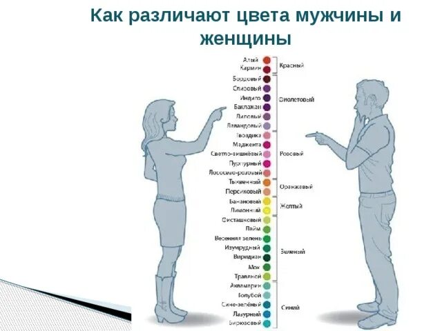 Винди не различает цвета. Цвета мужчины и женщины. восприятие цвета мужчиной и женщиной. мужчина и женщина различают цвета.