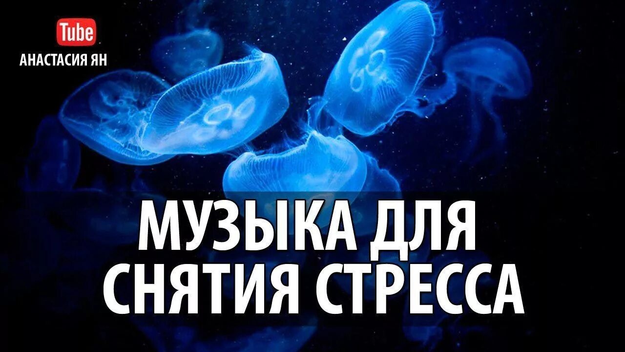 Лучшая музыка для снятия стресса