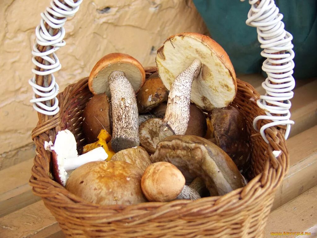 Корзинка с выпечкой. Ягодное лукошко печенье. Пирог открытый с ягодами и фруктами. Пирожное ягодное лукошко. Пироги в лукошке.