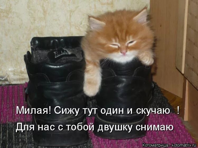 Сижу тоскую. Сижу одна скучаю. что сидишь тут одна скучаешь.