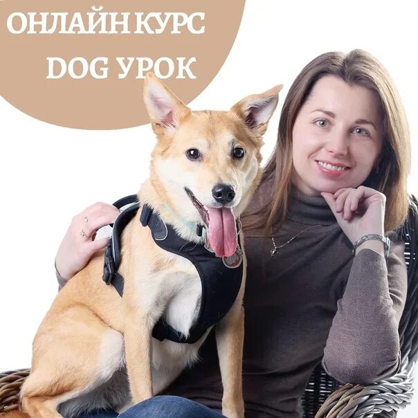 Зоопсихологи отзывы. Зоопсихолог москва. Зоопсихологи отзывы. Собака психолог. Зоопсихолог фото.
