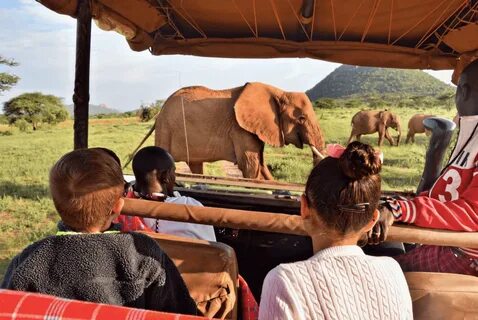 Safari romance