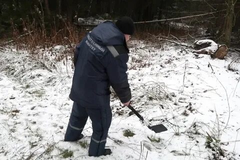 Брянская область трагедия 2023