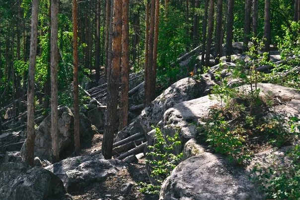 Пос передовой. Чёртов палец Самарская область. Поляна колдунов Самарская область. Самарская область лес колдунов. Передовой Самарская область.