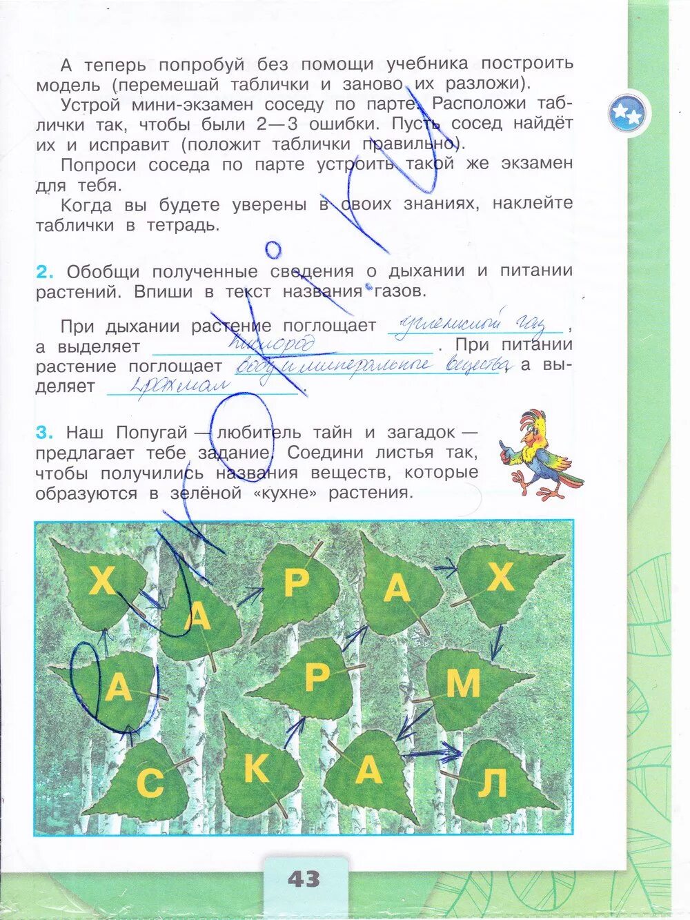 Окружающий мир рабочая тетрадь страница 43 класс