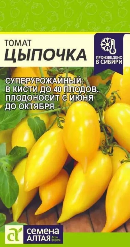 Сорт томата кулема отзывы. Семена Алтая семена томата цыпочка. Томат цыпочка семена Алтая. Семена помидор цыпочка семена Алтая. Семена Алтая цыпочка помидоры цыпочка.