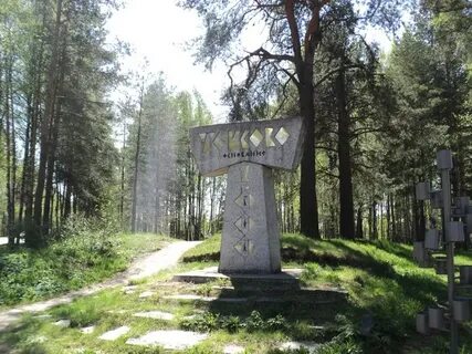 Токсово гагарина 22 лесничество