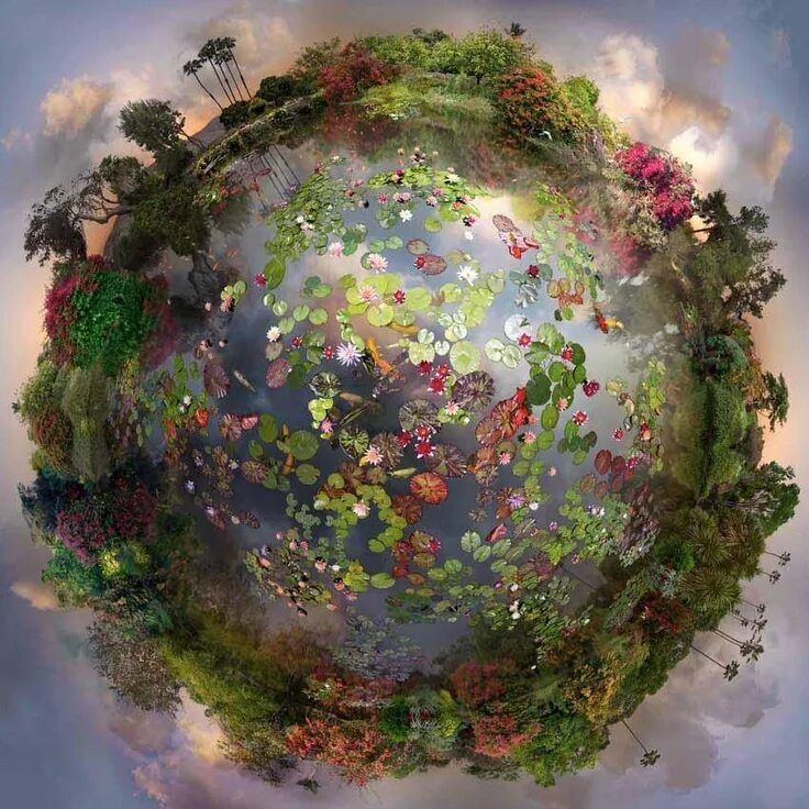 We love world. Цветущая земля. Цветущая Планета. Сказочная Планета. Удивительные творения природы.
