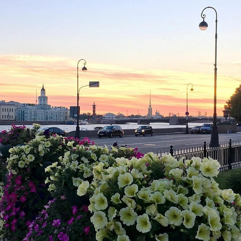 Утренний санкт петербург. Санкт-Петербург утро. Доброе утро Петербург. Летнее утро в Санкт-Петербурге. Утренний Питер летом.