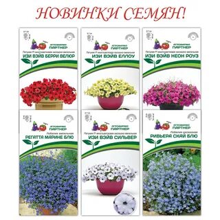 Семена заказ интернет магазин партнер семян каталог