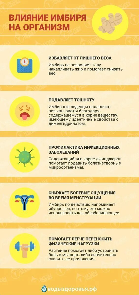 Как выглядит имбирь маринованный. Имбирь польза и вред для организма. Чем полезен имбирь маринованный для организма. Имбирь противопоказания. Польза имбиря маринованного для организма женщин.