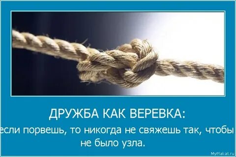 Настоящая дружба подобна крепкому здоровью